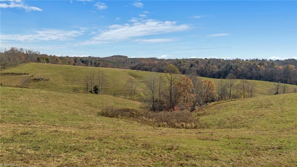 Unimproved Land at 000 Austin Traphill Road, Traphill NC 28685, photo 7 of 30