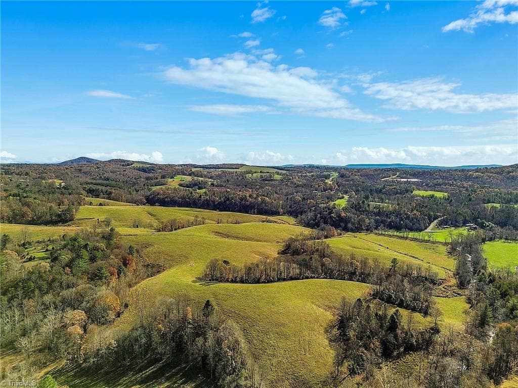 000 Austin Traphill Road, Traphill NC 28685