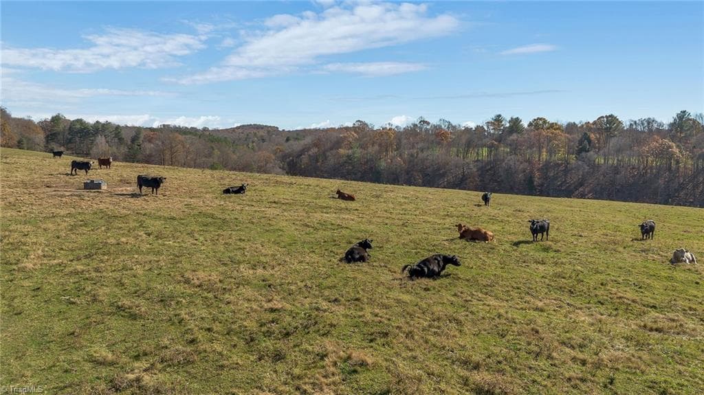 Unimproved Land at 000 Austin Traphill Road, Traphill NC 28685, photo 20 of 30