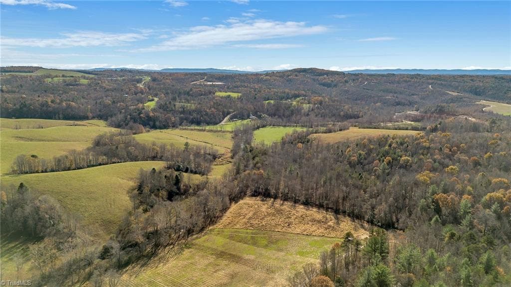 Unimproved Land at 000 Austin Traphill Road, Traphill NC 28685, photo 9 of 30