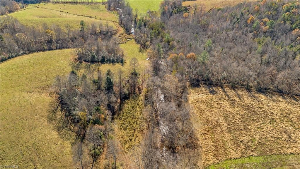 Unimproved Land at 000 Austin Traphill Road, Traphill NC 28685, photo 10 of 30