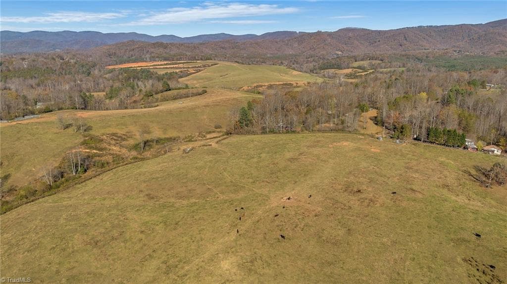 Unimproved Land at 000 Austin Traphill Road, Traphill NC 28685, photo 18 of 30