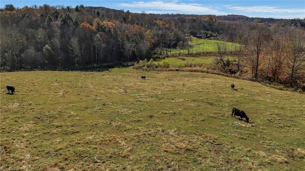 Unimproved Land at 000 Austin Traphill Road, Traphill NC 28685, photo 15 of 30