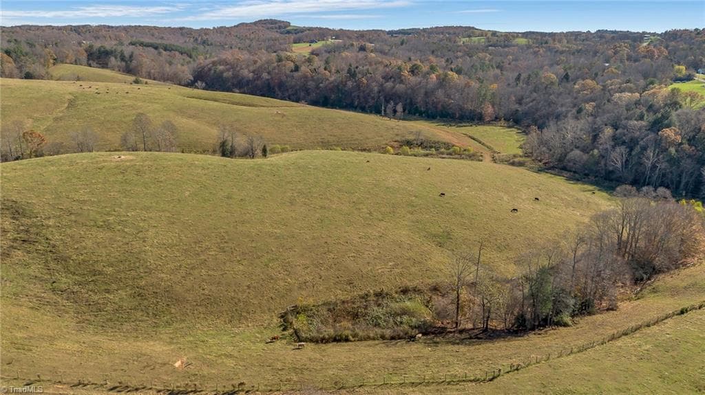 Unimproved Land at 000 Austin Traphill Road, Traphill NC 28685, photo 11 of 30