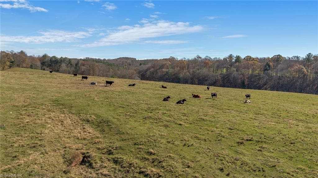 Unimproved Land at 000 Austin Traphill Road, Traphill NC 28685, photo 19 of 30