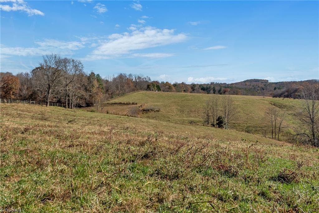 Unimproved Land at 000 Austin Traphill Road, Traphill NC 28685, photo 21 of 30