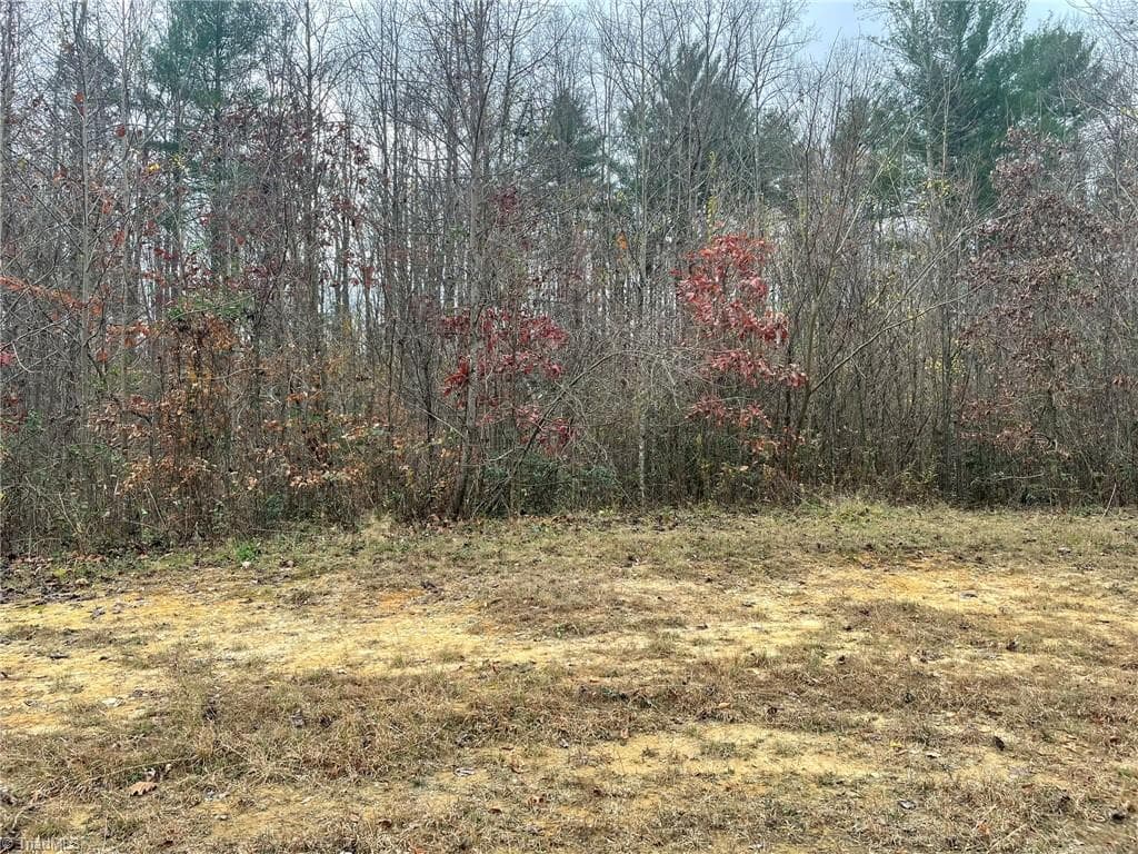 Block B Pulco Lane, Ronda NC 28670