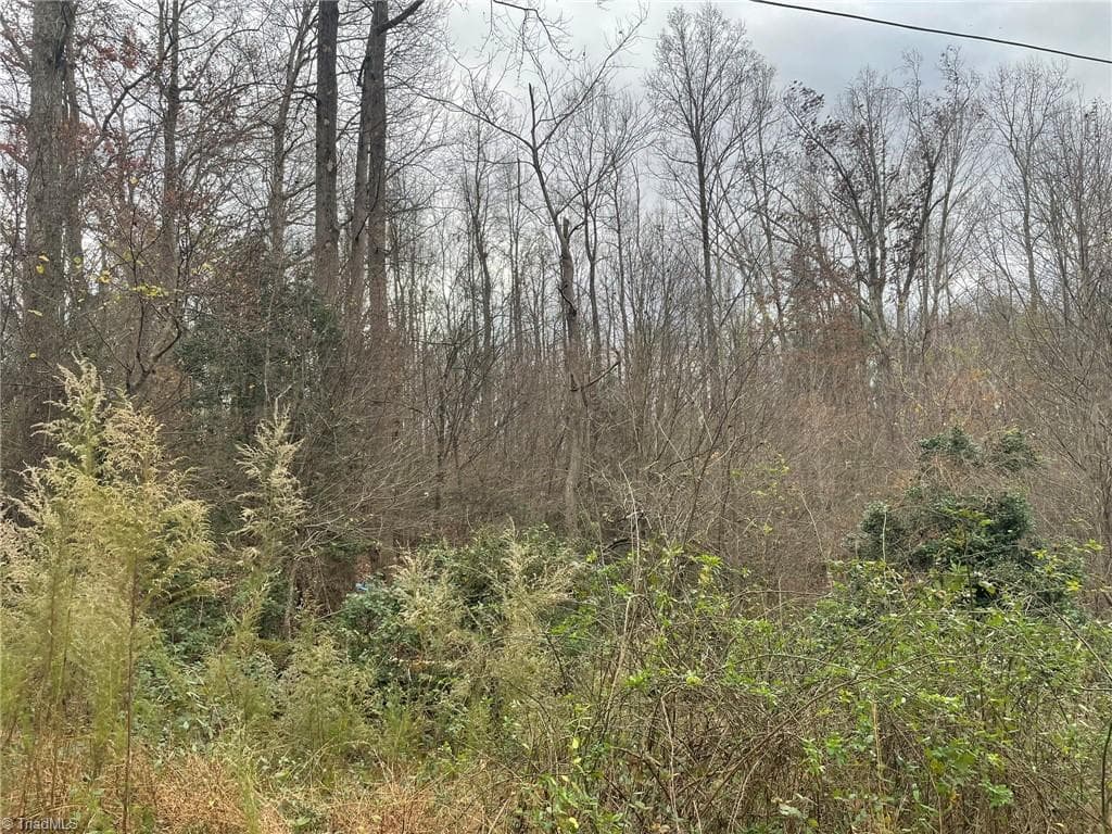 Single Family Residence at Block B Pulco Lane, Ronda NC 28670, photo 5 of 7