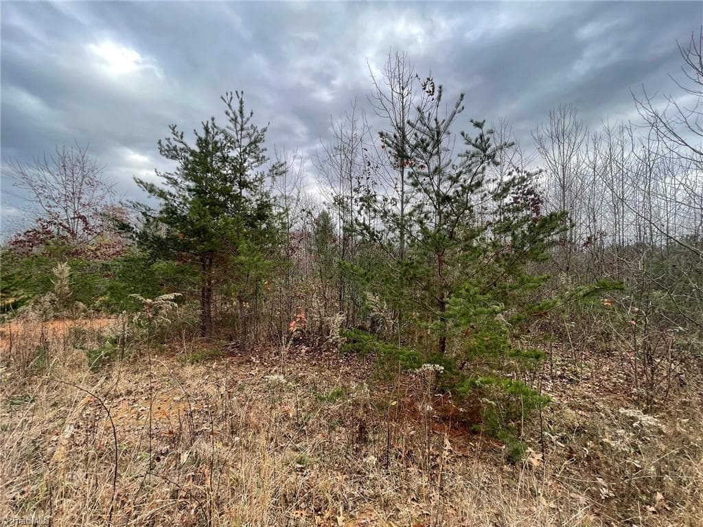 Lot 12 Pulco Lane, Ronda NC 28670