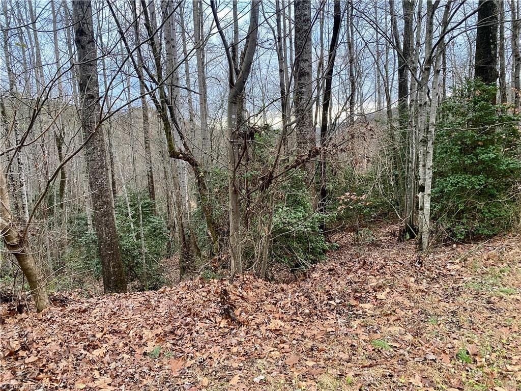Single Family Residence at 000 Autumn Place Lane, North Wilkesboro NC 28659, photo 2 of 9