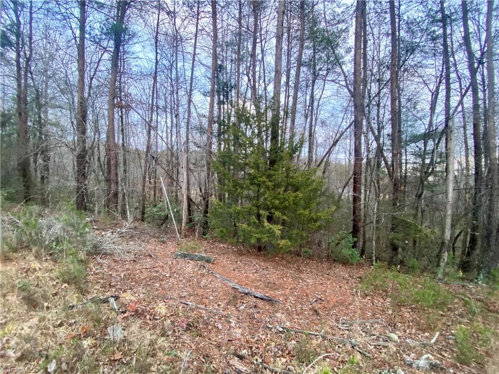 Single Family Residence at 000 Autumn Place Lane, North Wilkesboro NC 28659, photo 6 of 9