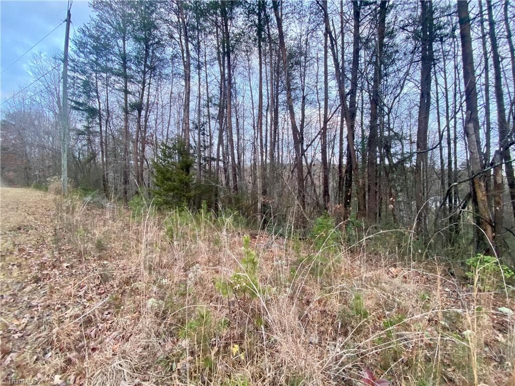 Single Family Residence at 000 Autumn Place Lane, North Wilkesboro NC 28659, photo 7 of 9