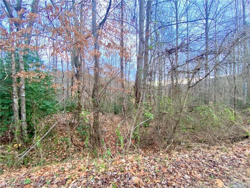 Single Family Residence at 000 Autumn Place Lane, North Wilkesboro NC 28659, photo 3 of 9