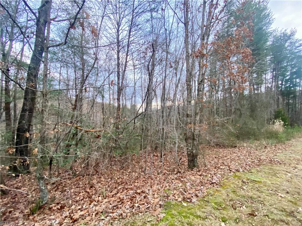 Single Family Residence at 000 Autumn Place Lane, North Wilkesboro NC 28659, photo 5 of 9