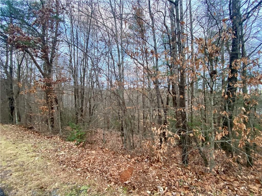 Single Family Residence at 000 Autumn Place Lane, North Wilkesboro NC 28659, photo 4 of 9
