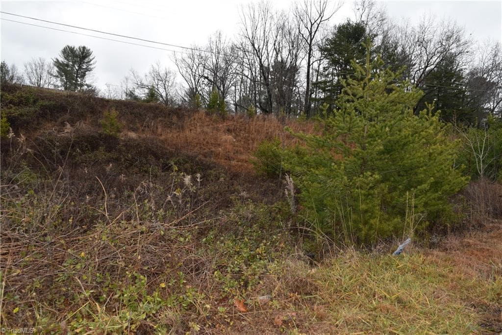 0 Andy Griffith Parkway, Mount Airy NC 27030