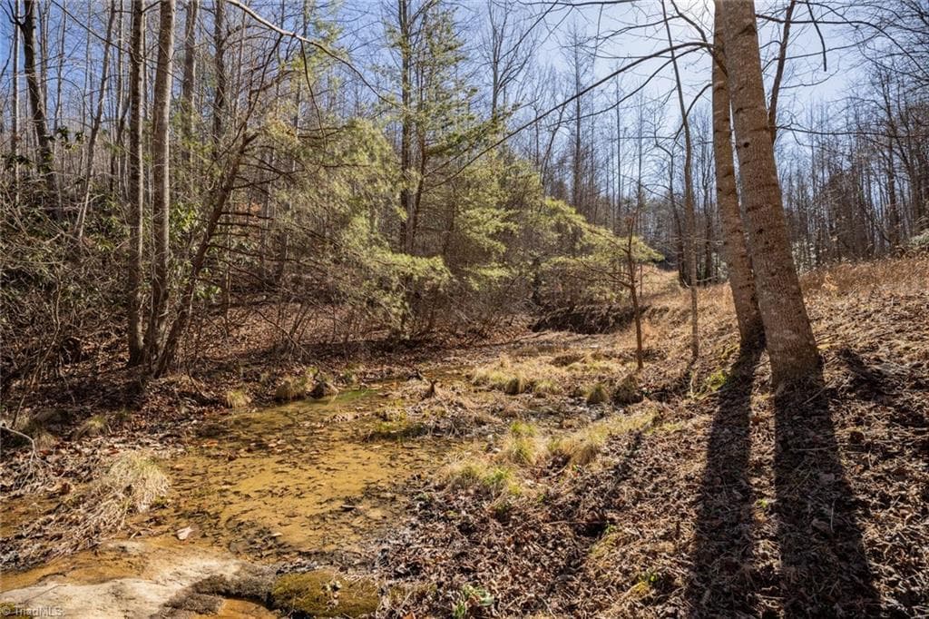 Unimproved Land at Lot 4 Green Point Lane, Boomer NC 28606, photo 6 of 20