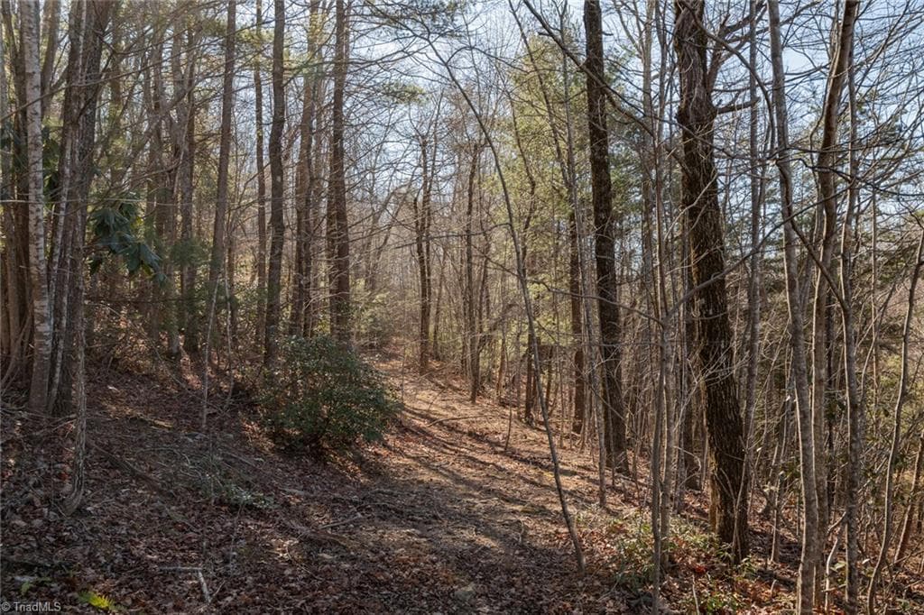 Unimproved Land at Lot 4 Green Point Lane, Boomer NC 28606, photo 13 of 20