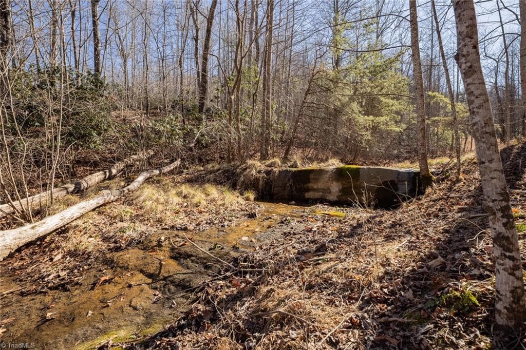 Unimproved Land at Lot 4 Green Point Lane, Boomer NC 28606, photo 7 of 20