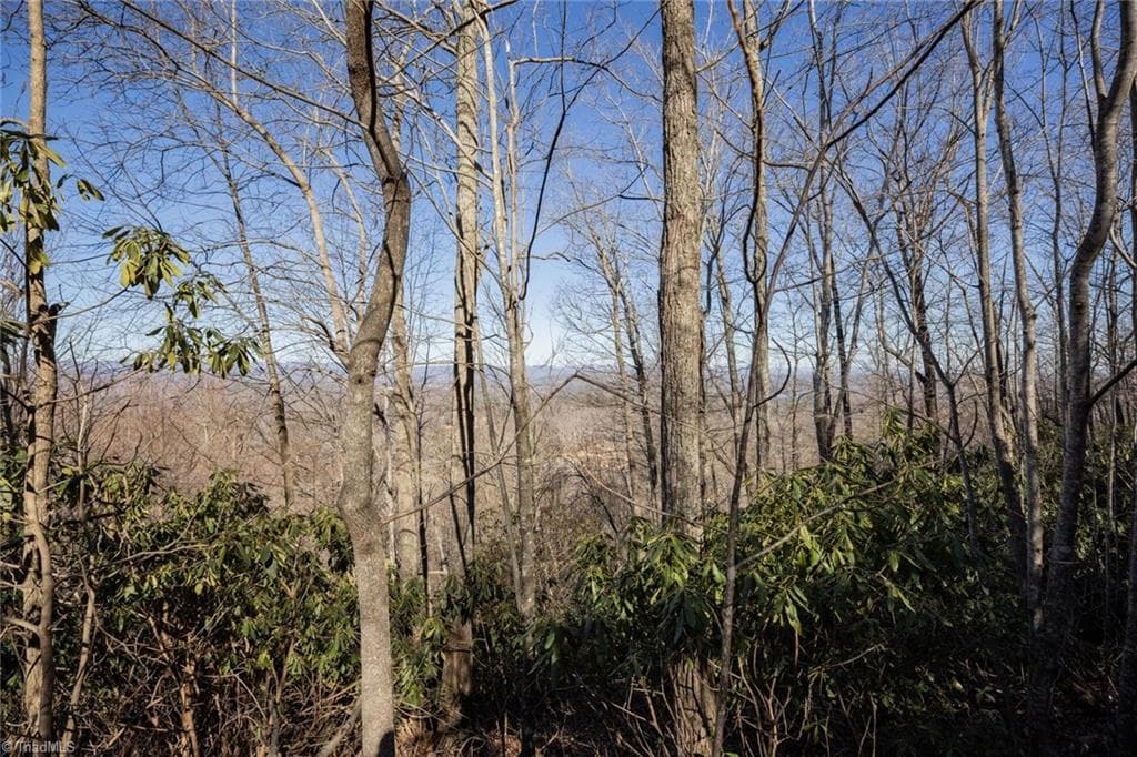 Unimproved Land at Lot 4 Green Point Lane, Boomer NC 28606, photo 3 of 20