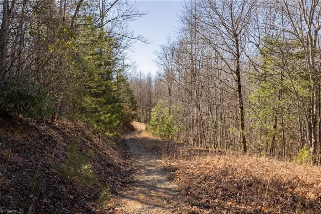 Unimproved Land at Lot 4 Green Point Lane, Boomer NC 28606, photo 5 of 20