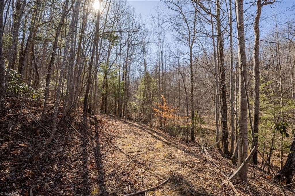 Unimproved Land at Lot 4 Green Point Lane, Boomer NC 28606, photo 9 of 20