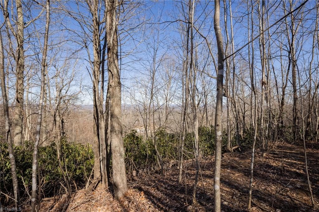 Unimproved Land at Lot 4 Green Point Lane, Boomer NC 28606, photo 10 of 20