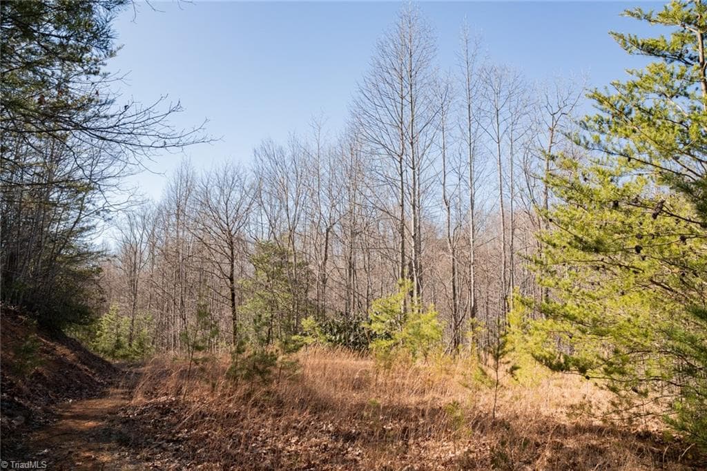 Unimproved Land at Lot 4 Green Point Lane, Boomer NC 28606, photo 14 of 20