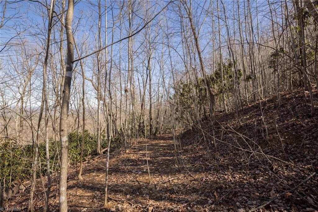 Unimproved Land at Lot 4 Green Point Lane, Boomer NC 28606, photo 11 of 20