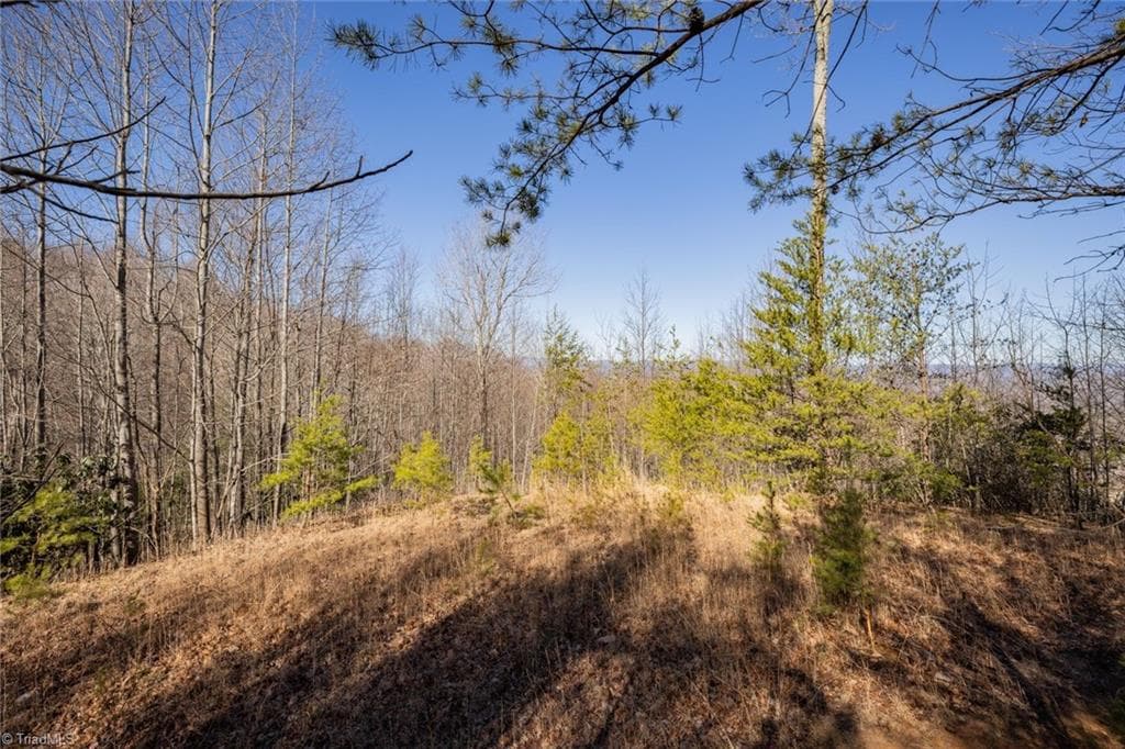 Unimproved Land at Lot 4 Green Point Lane, Boomer NC 28606, photo 4 of 20