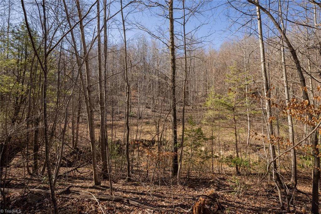 Unimproved Land at Lot 4 Green Point Lane, Boomer NC 28606, photo 8 of 20