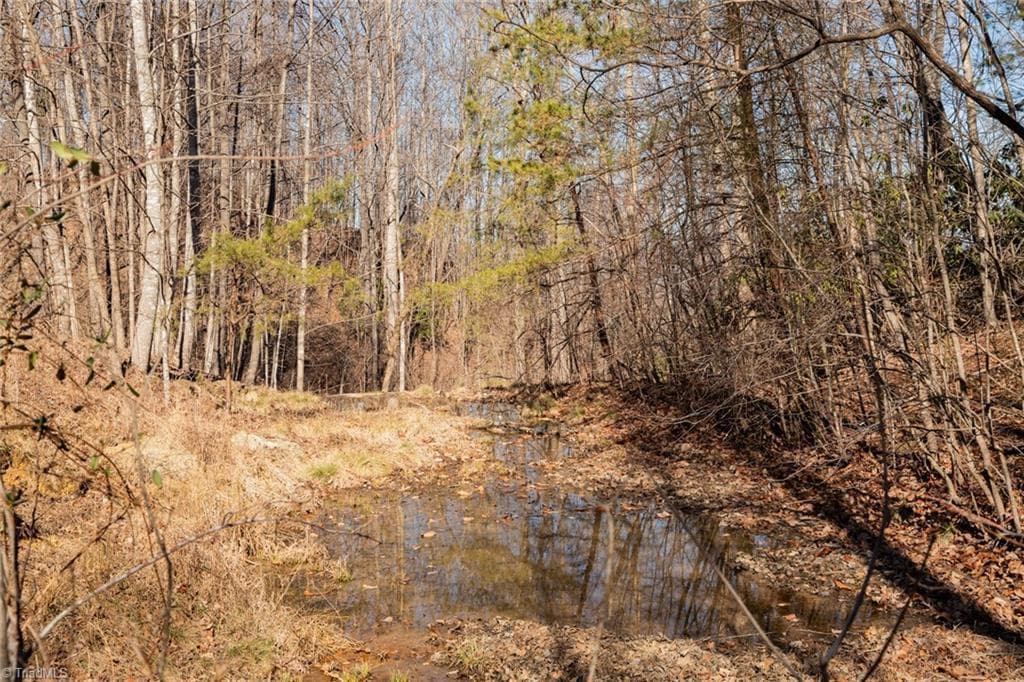 Unimproved Land at Lot 6 Green Point Lane, Boomer NC 28606, photo 6 of 21