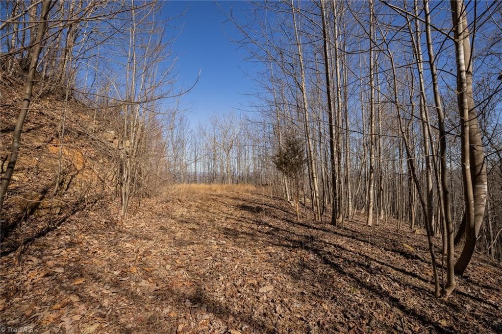 Unimproved Land at Lot 6 Green Point Lane, Boomer NC 28606, photo 13 of 21