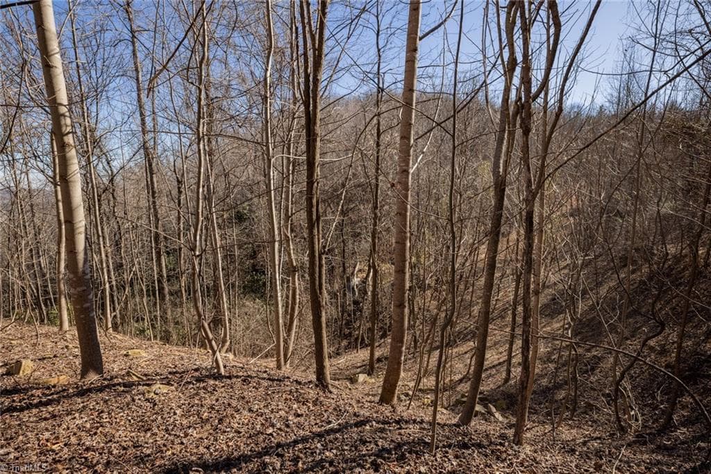 Unimproved Land at Lot 6 Green Point Lane, Boomer NC 28606, photo 17 of 21
