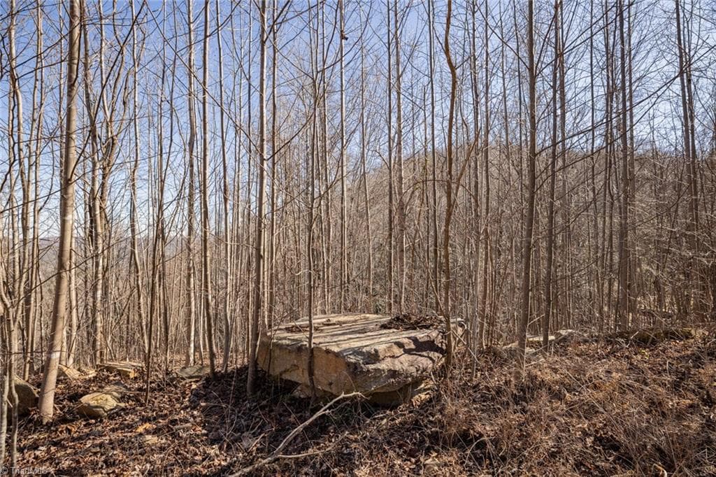 Unimproved Land at Lot 6 Green Point Lane, Boomer NC 28606, photo 16 of 21