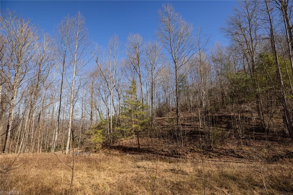 Unimproved Land at Lot 6 Green Point Lane, Boomer NC 28606, photo 12 of 21