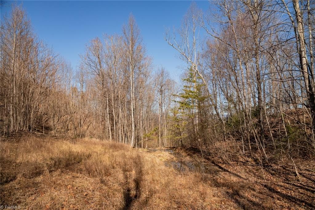 Unimproved Land at Lot 6 Green Point Lane, Boomer NC 28606, photo 7 of 21