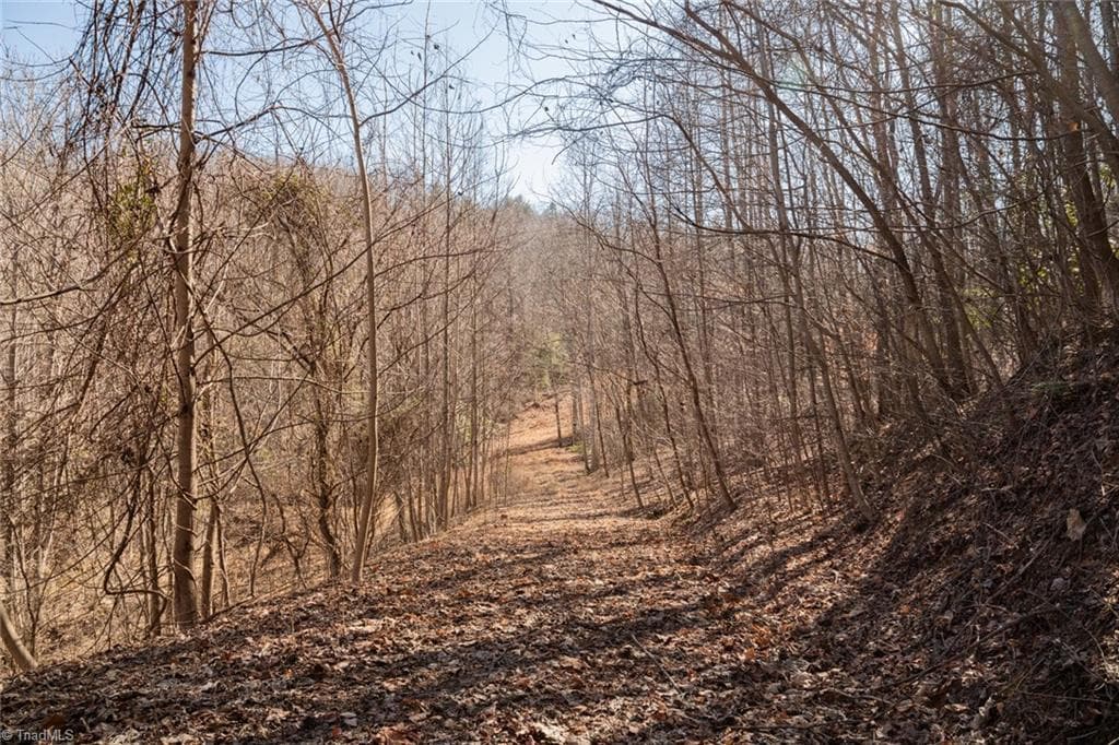 Unimproved Land at Lot 6 Green Point Lane, Boomer NC 28606, photo 3 of 21