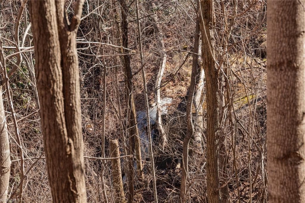 Unimproved Land at Lot 6 Green Point Lane, Boomer NC 28606, photo 5 of 21