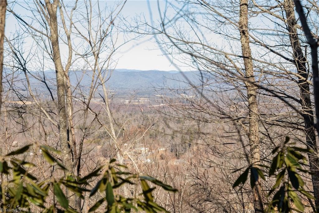 Unimproved Land at Lot 6 Green Point Lane, Boomer NC 28606, photo 9 of 21