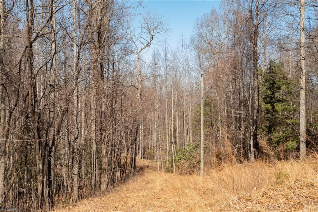 Unimproved Land at Lot 6 Green Point Lane, Boomer NC 28606, photo 10 of 21