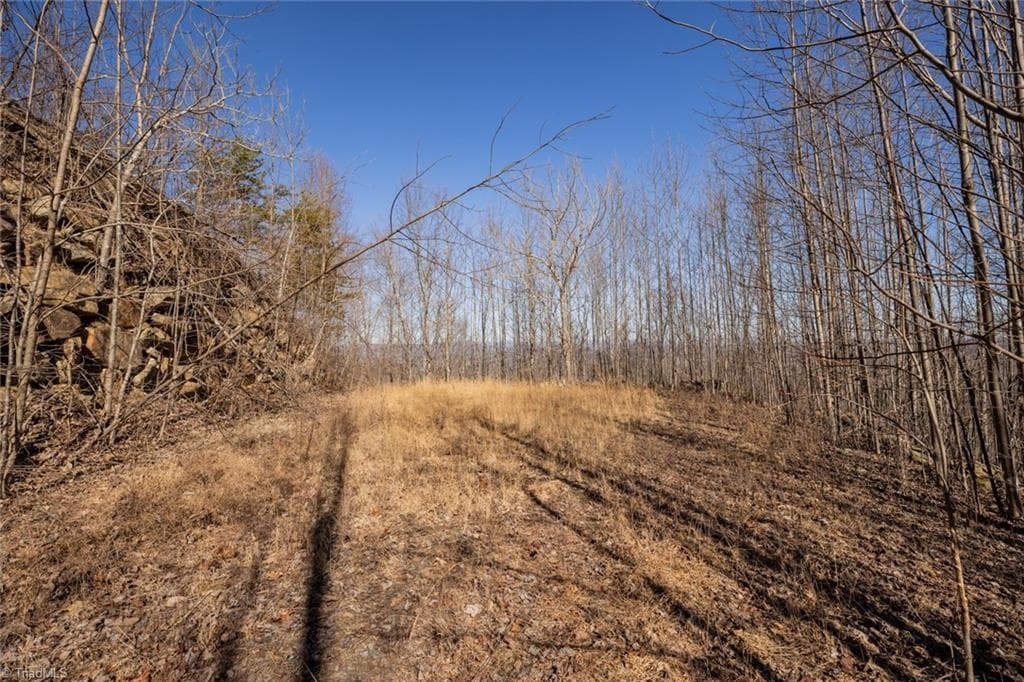 Unimproved Land at Lot 6 Green Point Lane, Boomer NC 28606, photo 14 of 21