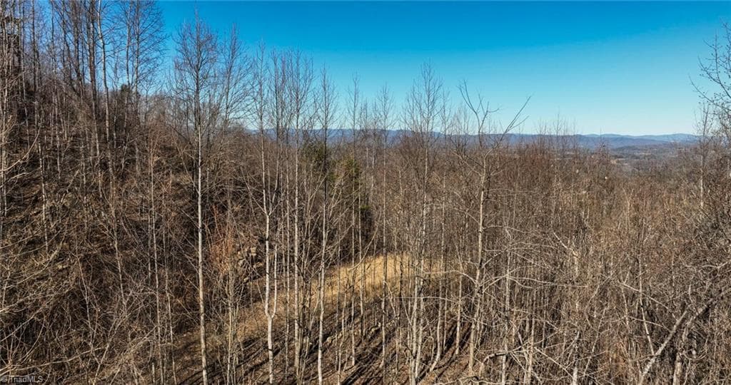 Unimproved Land at Lot 6 Green Point Lane, Boomer NC 28606, photo 18 of 21