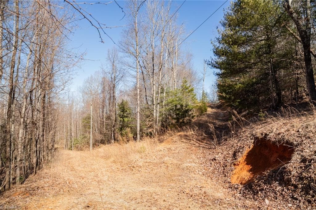 Unimproved Land at Lot 6 Green Point Lane, Boomer NC 28606, photo 11 of 21