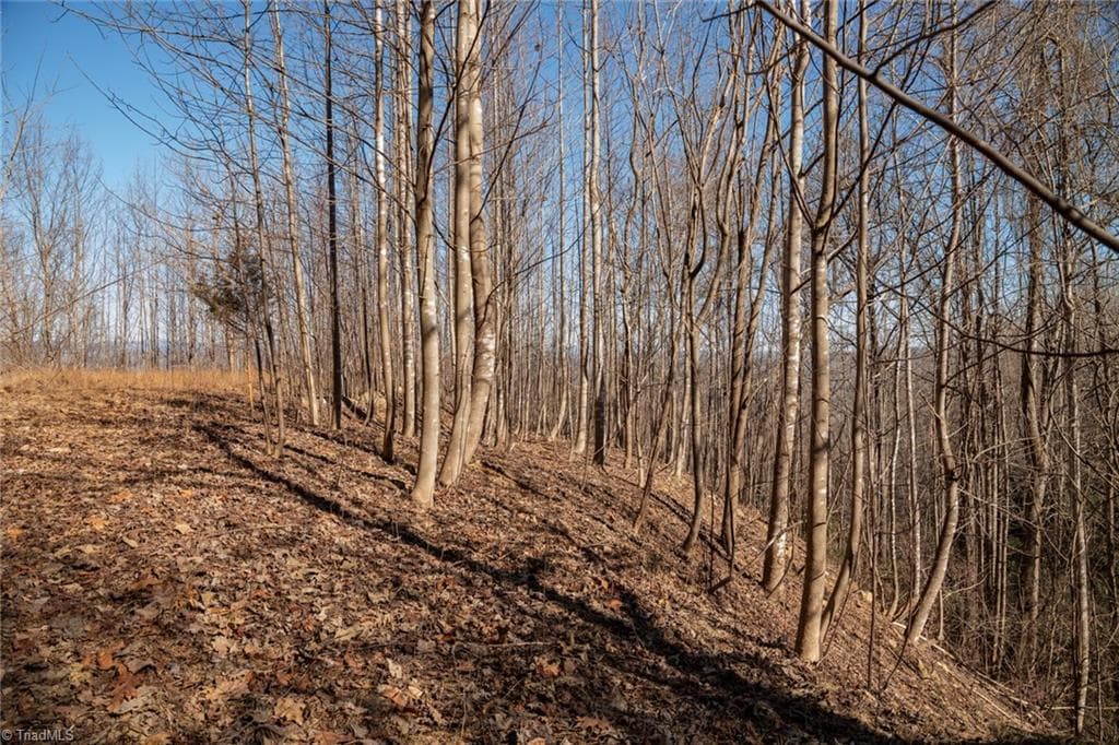 Unimproved Land at Lot 6 Green Point Lane, Boomer NC 28606, photo 4 of 21