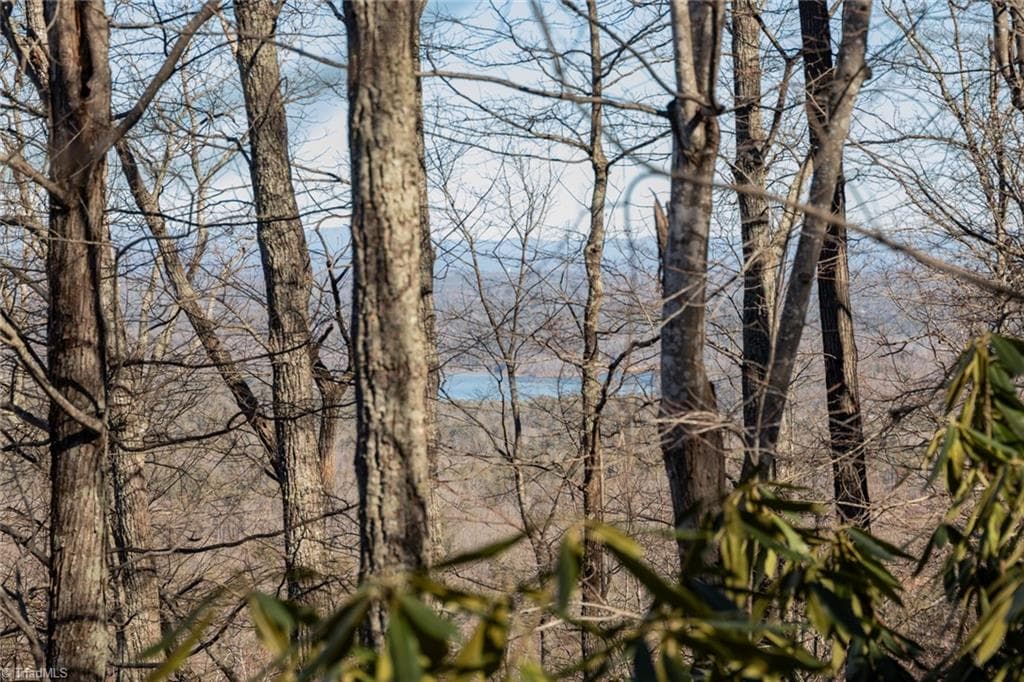 Unimproved Land at Lot 6 Green Point Lane, Boomer NC 28606, photo 8 of 21