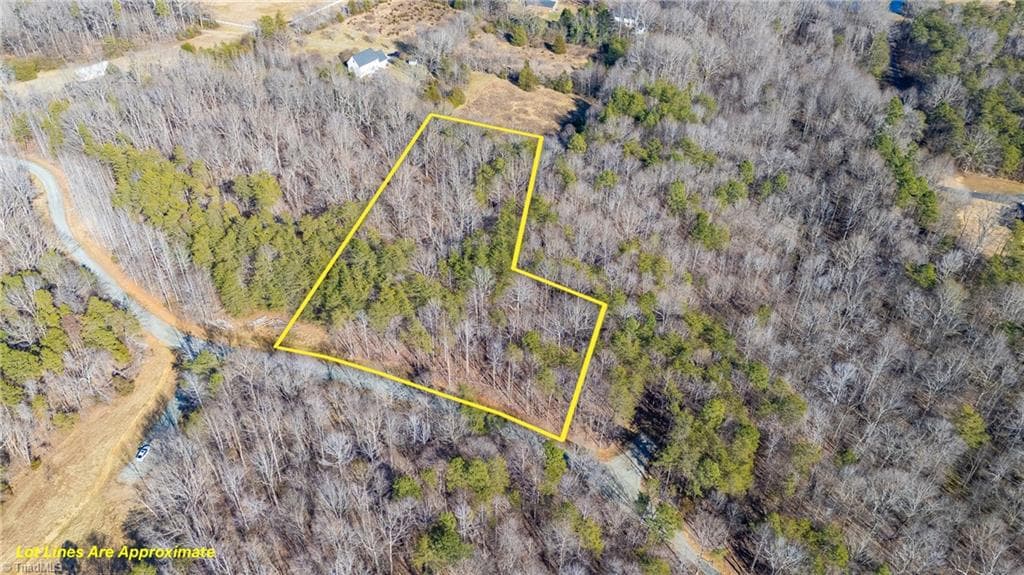 0 Lyla's Lane, Efland NC 27243