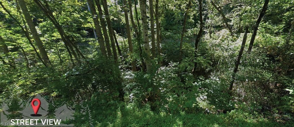 Unimproved Land at 4 Haystack Road, Dobson NC 27017, photo 10 of 14