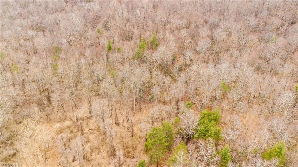 Unimproved Land at TBD E Brocktown Road, Moravian Falls NC 28654, photo 6 of 21