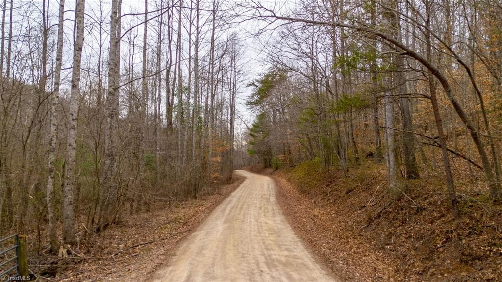Unimproved Land at TBD E Brocktown Road, Moravian Falls NC 28654, photo 12 of 21